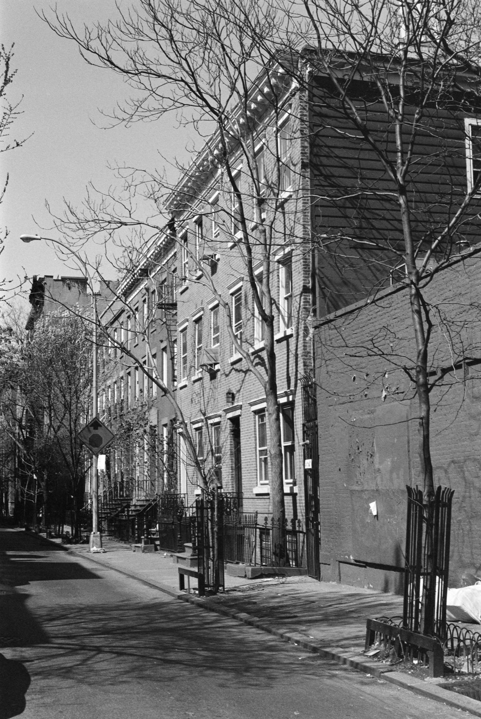 AHP F1995 04 002 sc240807 img06 NLP